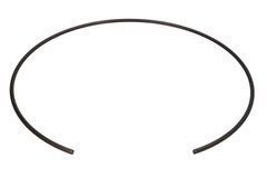 Стопорное кольцо 125344 Carraro 3785474M1 F339300020740 1537646C1 209-7459 83983434 85806006 S06/41244 125344 фото