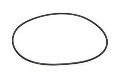 Уплотнительное кольцо 028638 Carraro 6000103399 054000R1 34061100 3785432M1 1-33-742-093 3665430M1 028638 фото