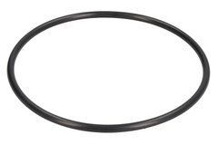Уплотнительное кольцо 028170 Carraro 340411A1 3656996M1 CNH Agco Case New Holland 6000104445 Claas 028170 фото