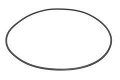 Уплотнительное кольцо 133757 Carraro 190493A1 3696066M1 CASE 224-6081 Caterpillar S06/42270 CA0133757 133757 фото
