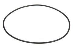Уплотнительное кольцо 028571 Carraro 062301R1 81882800 87429982 C77AH18 6194332M1 F03/30767 6194332M1 11709074 028571 фото