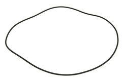 Уплотнительное кольцо 028575 Carraro 3785428M1 06914444 14002966 R211944 42T-22-H0P97 602543 218354 028575 фото